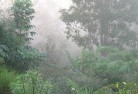 Cawonglalandscaping-irrigation-4.jpg; ?>